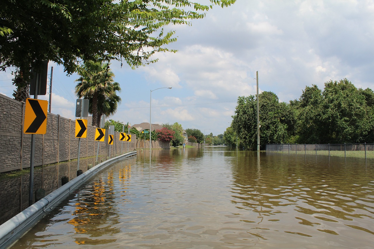 Disaster Safety: Preparation and Survival Tips